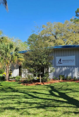 North Brooksville